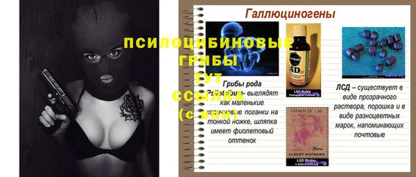 таблы Бородино