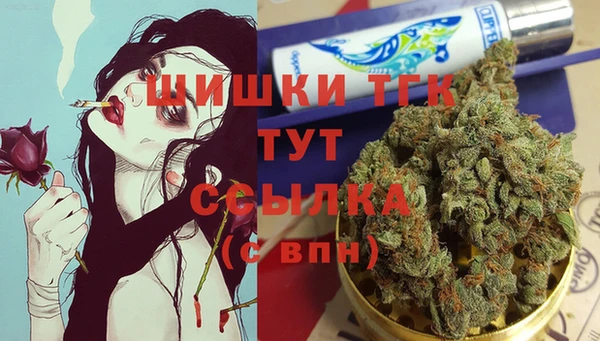 таблы Бородино