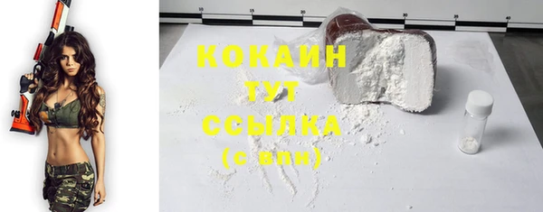 таблы Бородино