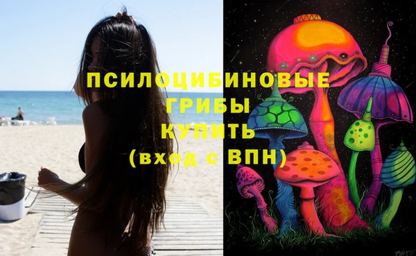 таблы Бородино